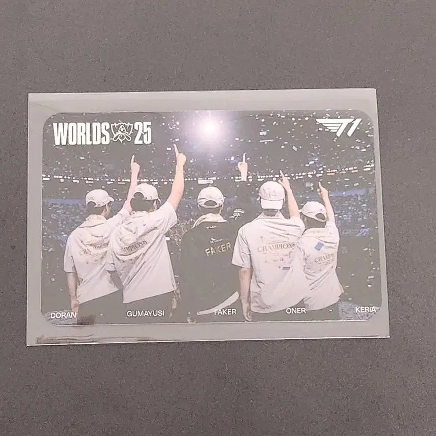 [BUNJANG] T1 Worlds 2022 Group Photocard (Back View) / msi 페스타 - 월즈 T1 단체 포토카드(뒷모습)