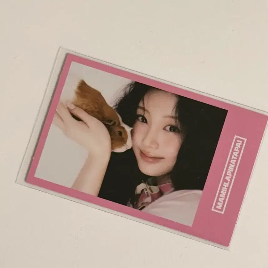[BUNJANG] ILLIT Wonhee It&