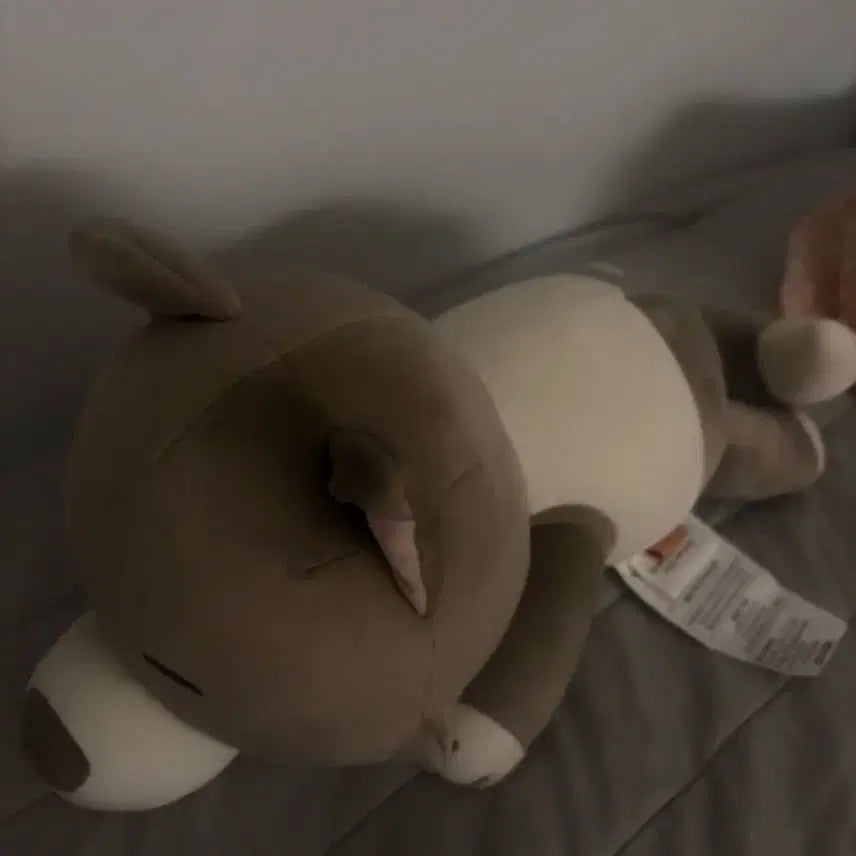 [BUNJANG] Bong Jaehyun Cushion / 쁘넥도 명명이 쿠션 보넥도 명재현 눕쿠션