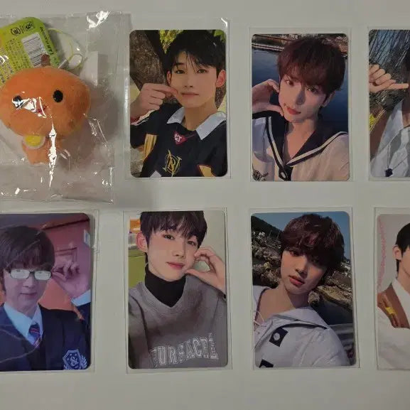 [BUNJANG] ENHYPEN Sunoo Ni-ki Jungwon Heeseung Jay Jake Sunghoon Photocard Bundle Set / 앤팀 의주 팟칭의주 죠 조 하루아 포카 미캉보우야 인형 키링 일괄 판매