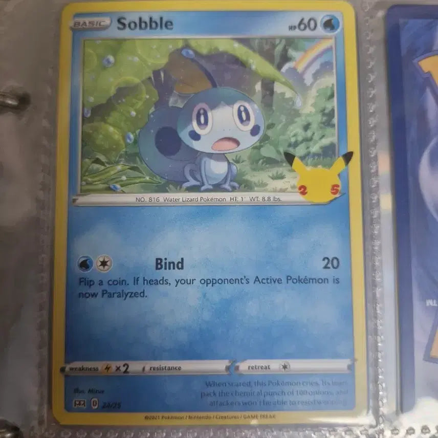[BUNJANG] Pokemon 25th Anniversary Starting Set (North American Edition) / 북미판 포켓몬카드 25주년 스타팅 7종 판매합니다!