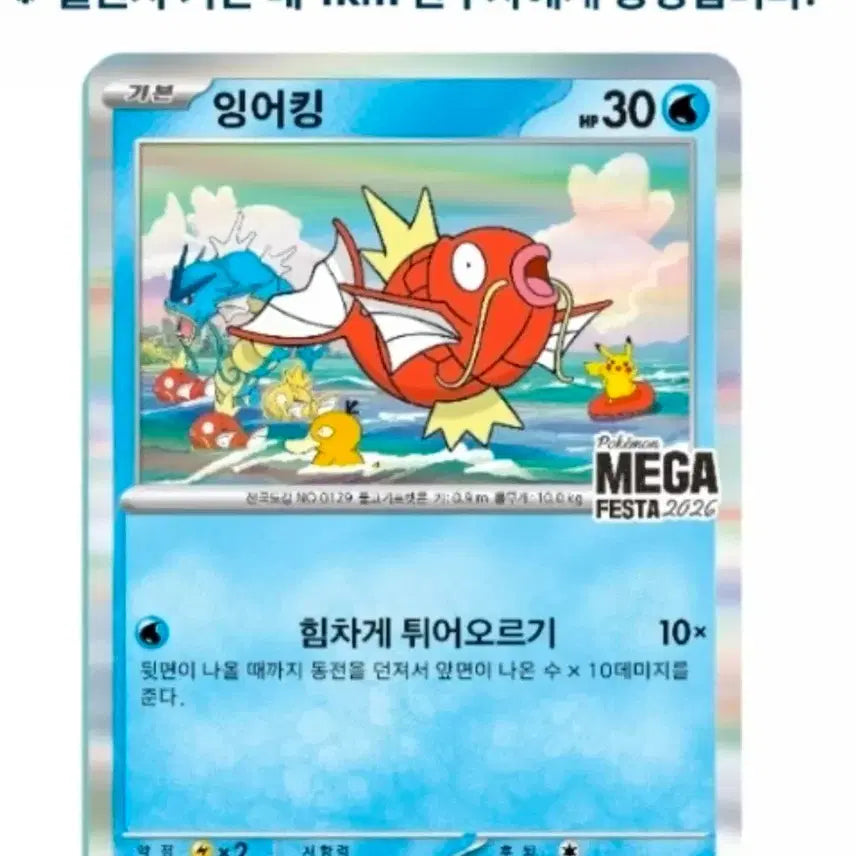 [BUNJANG] Pokemon Magikarp Promo Card Set (2 Cards) / 포켓몬 잉어킹 프로모 카드 2장 있습니다.