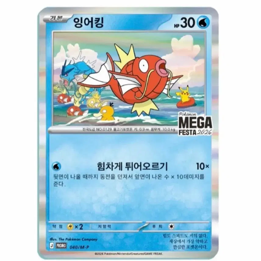 [BUNJANG] Magikarp Promo Pokemon Card / 잉어킹 프로모