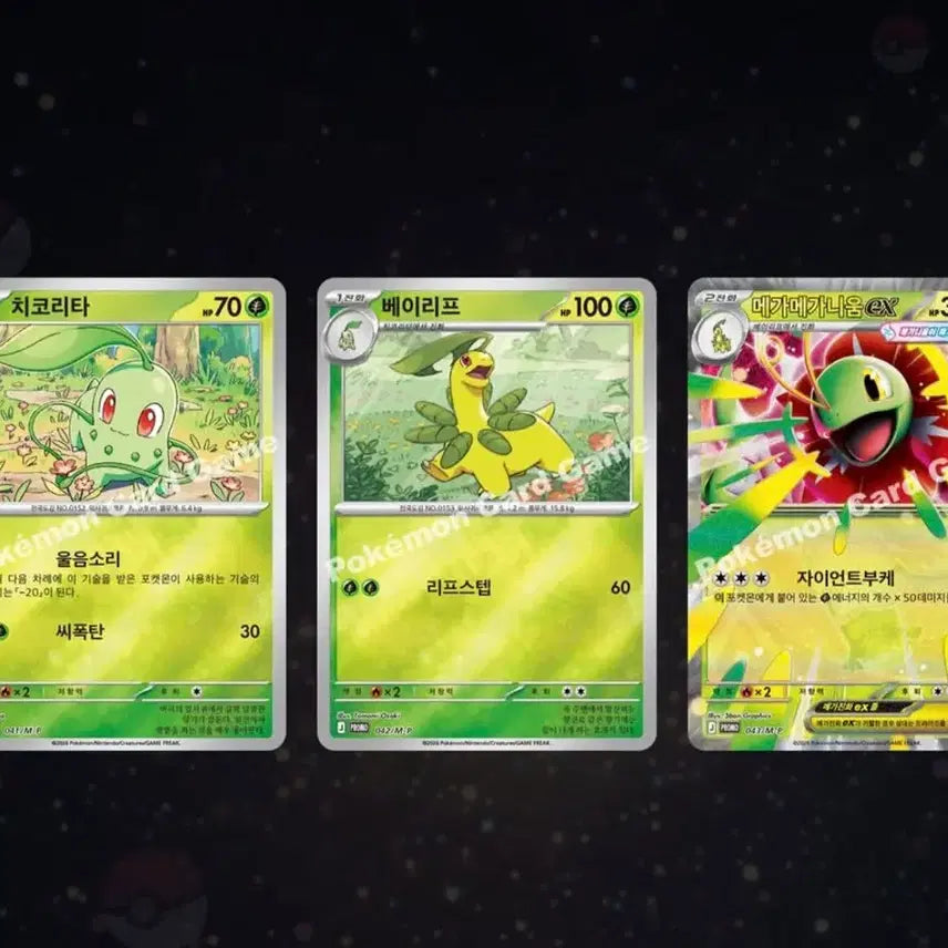[BUNJANG] Pokemon Card Chikorita, Bayleef, Meganium EX Set / 포켓몬 카드 치코리타 베이리프 메가메가니움 EX