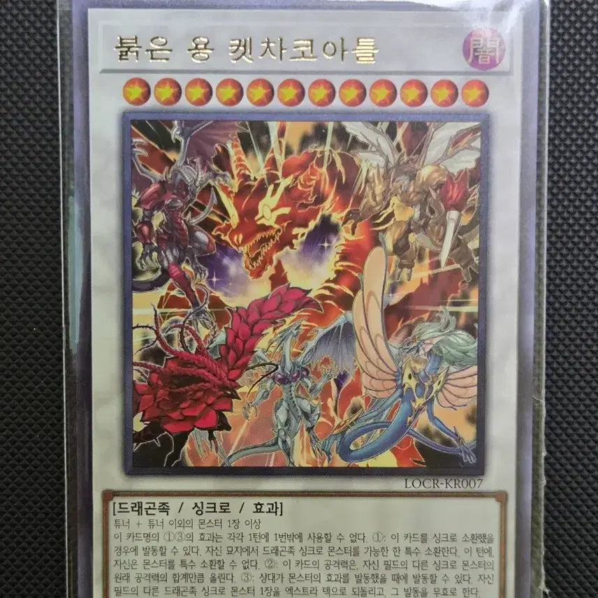 [BUNJANG] Red Dragon Kkotcha Coa Aetul / 붉은 용 켓차코아틀