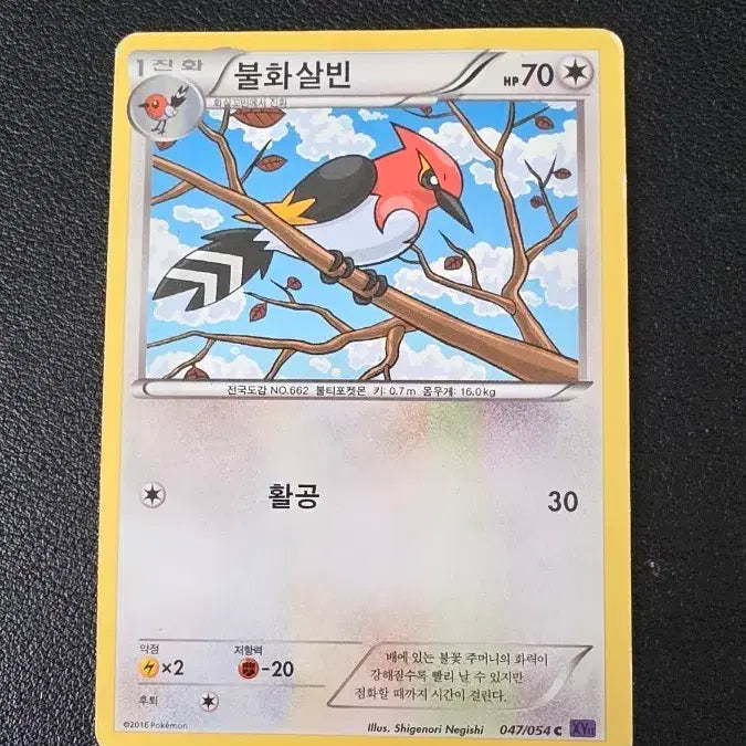 [BUNJANG] Pokemon Card Infernape XY11 047 / 포켓몬 카드 불화살빈 XY11 047