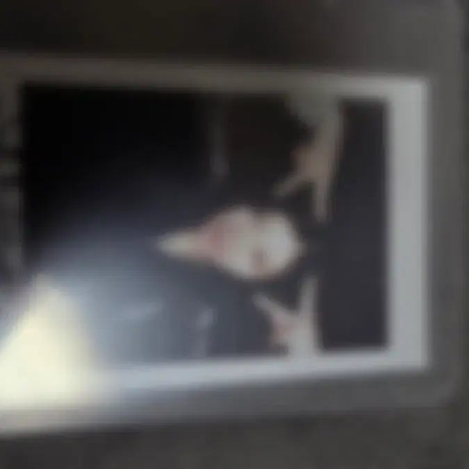 [BUNJANG] Cosmos Himesha Signed Polaroid / 코스모시 히메샤 사인 폴라