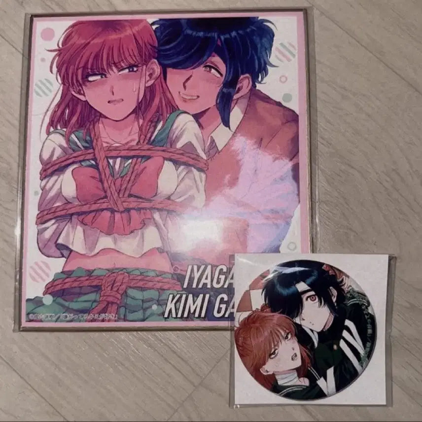 [BUNJANG] I Favor the One Who Hates Me Anime Store Exclusive Clear Shikishi &amp; Pin Set / 이야키미 싫어하는 네가 좋아 애니메이트 쿠지 색지 뱃지 세트 판매