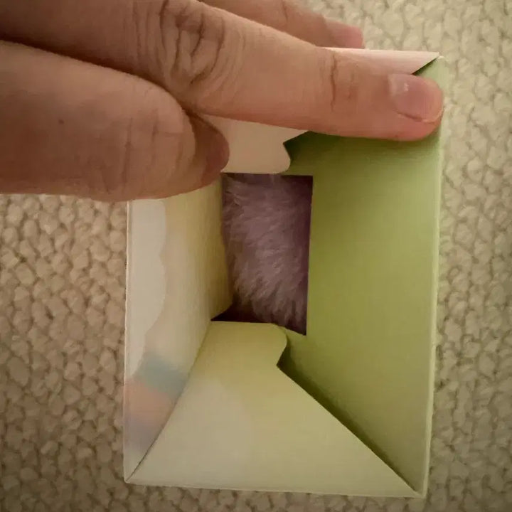 [BUNJANG] Wish Color Doll Purple Kuri Sealed / 위시 컬러돌 미개봉 보라 쿠리