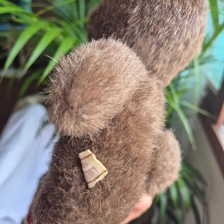 [BUNJANG] Vintage Teddy Bear / 빈티지 곰인형