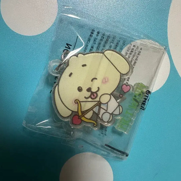 [BUNJANG] NCT WISH Seven Eleven Dangtreever Wafer Keychain WayV / 엔시티위시 세븐일레븐 댕트리버 키링 웨이퍼키링