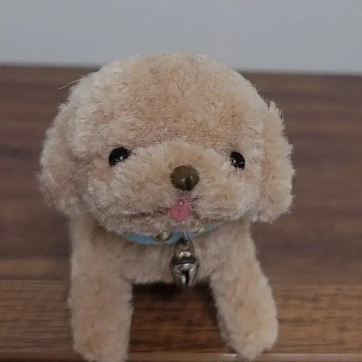 [BUNJANG] Moru Miniature Dog Doll for 6-inch dolls and Blythe / 육일돌 모루 강아지인형 팝니다.미니어처.미니어쳐.육일동강아자