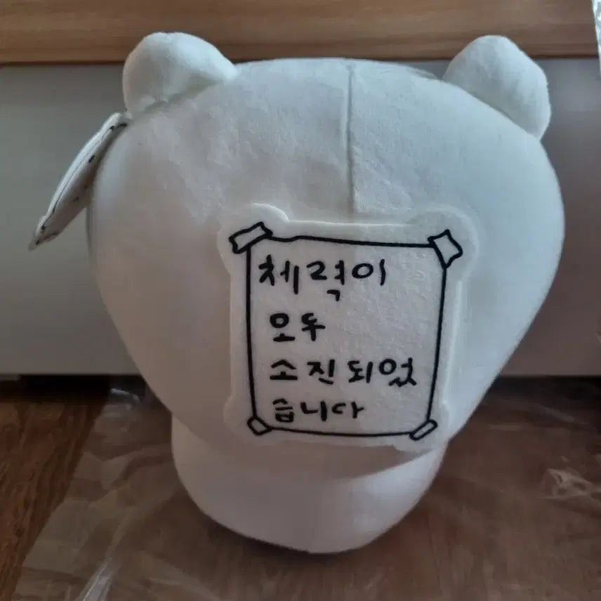 [BUNJANG] Nunnuni Medium Plush Doll / 눈멍냥이 냥냥이 수염 체력소진 중형인형