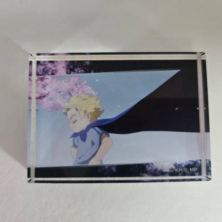 [BUNJANG] My Hero Academia Final Arc Acrylic Standee Set / 나의 히어로 아카데미아 파이널 아크릴