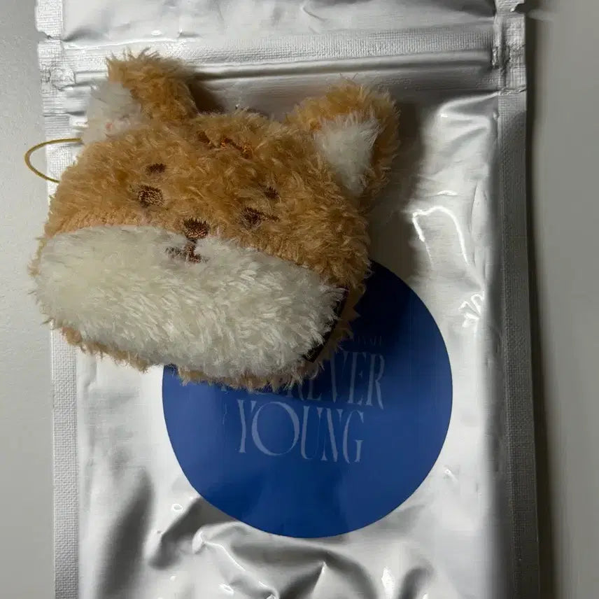 [BUNJANG] DAY6 Face Keyring Petit K Unsealed / 데이식스 페이스키링 쁘띠 케 단순개봉