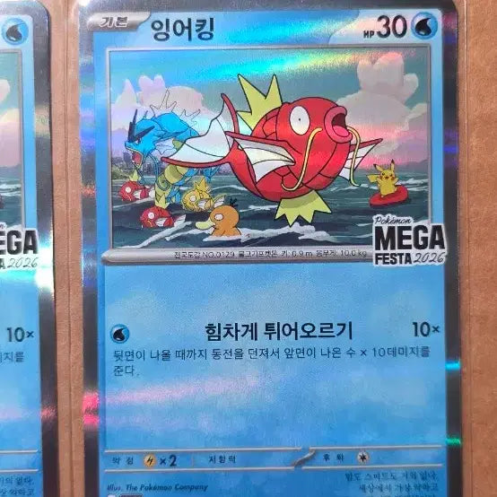 [BUNJANG] Magikarp Promo Card Unsealed / 잉어킹 프로모 카드 개봉품