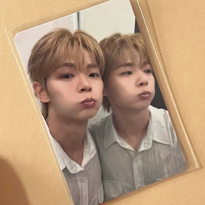 [BUNJANG] Lucy Yechan Siru Pop-up Photocard / 루시 예찬 시루 팝업 md 5만원 이상 포카