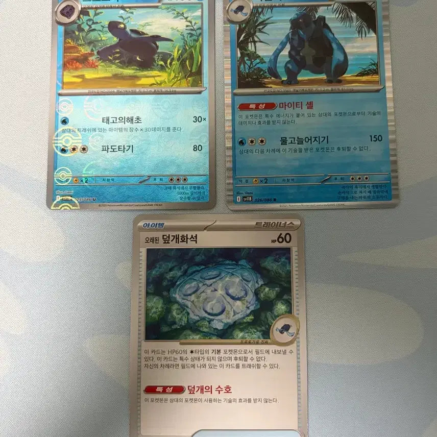 [BUNJANG] Pokemon Card Protector Fossil Proto Gola Rib Bundle Set / 포켓몬카드 덮개화석 프로토가 늑골라 일괄