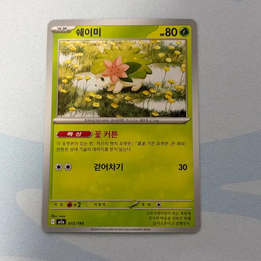[BUNJANG] Pokemon Card Shaymin / 포켓몬카드 쉐이미
