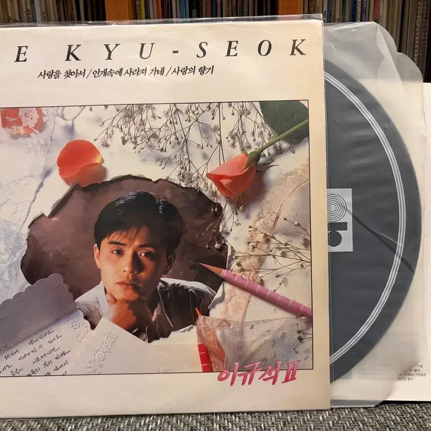 [BUNJANG] Lee Gyu Seok 2nd Album - Fading Into The Mist LP / (LP) 이규석 2집 - 안개속에 사라져 가네