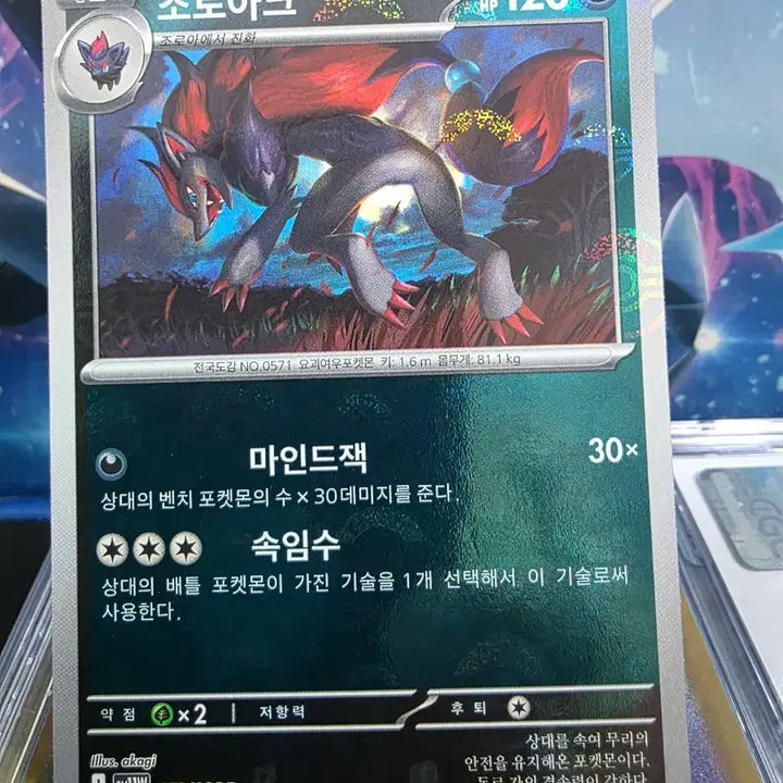 [BUNJANG] Pokemon Card Zoroark 059/086 / 포켓몬카드 몬볼 조로아크 059/086