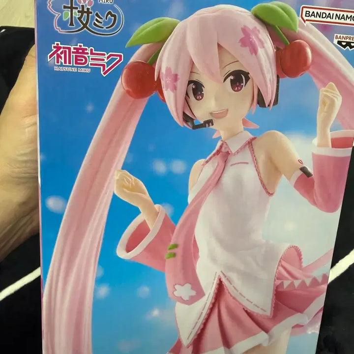 [BUNJANG] Banpresto Sakura Miku Figure (Sealed) / 반프레스토 사쿠라 미쿠 피규어 미개봉 새상품