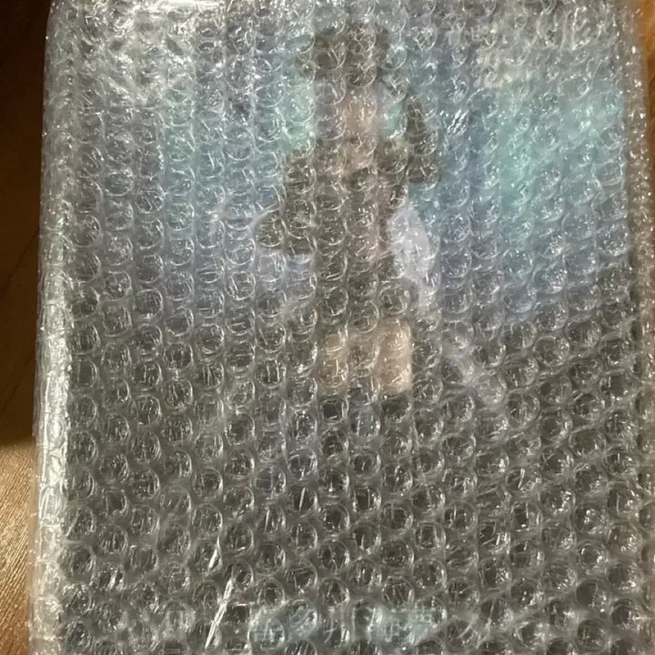 [BUNJANG] AMP Marine Black Roberia Figure (Sealed) / 미개봉 amp 마린 블랙 로베리아 피규어