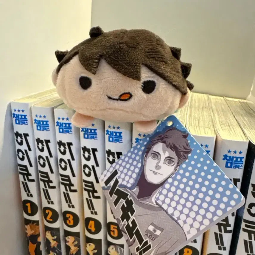 [BUNJANG] Haikyuu!! Oikawa Tooru Plush Doll / 하이큐 오이키와 쯔무