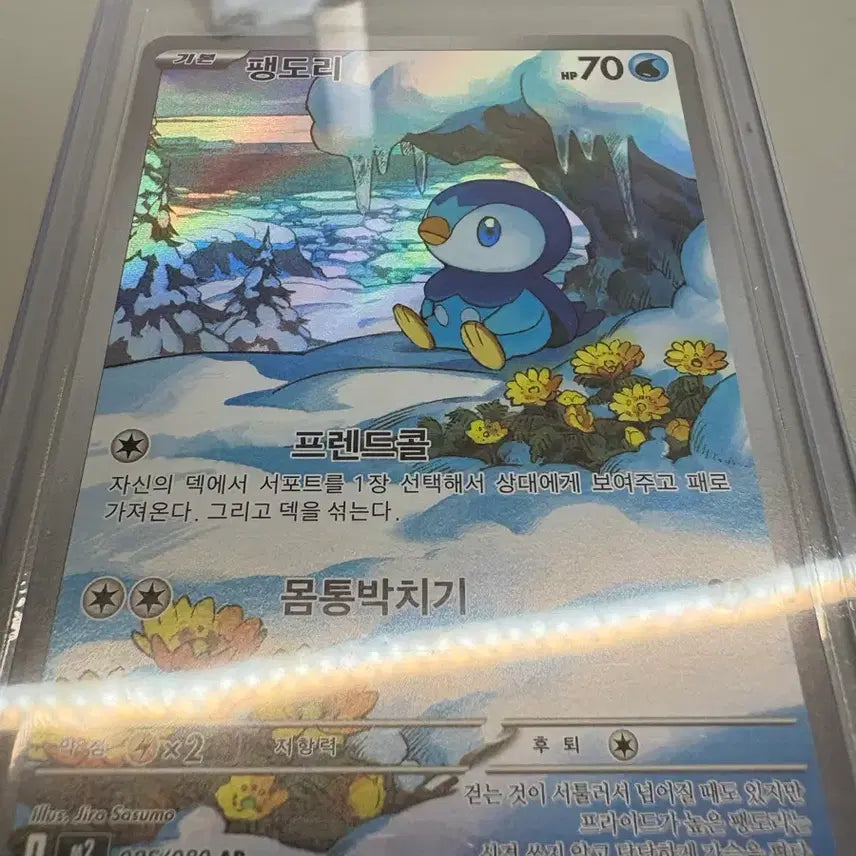 [BUNJANG] Palkia AR + Garchomp AR Pokemon / 팽도리ar+야도란ar