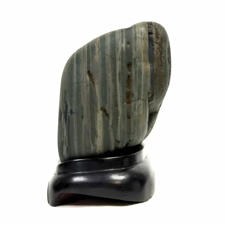 [BUNJANG] Namhan River Cabbage Jade Stone with Engraved Pattern / 남한강 박장대소 문양석 수석