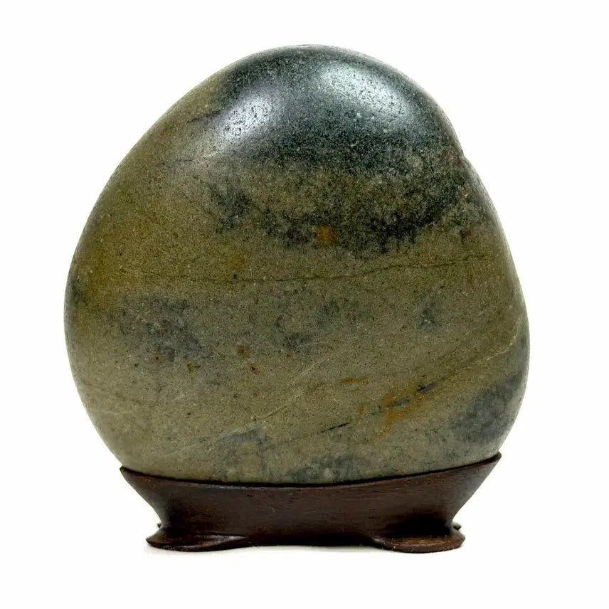 [BUNJANG] Il Gwang Pattern Stone Suiseki / 일광 문양석 수석