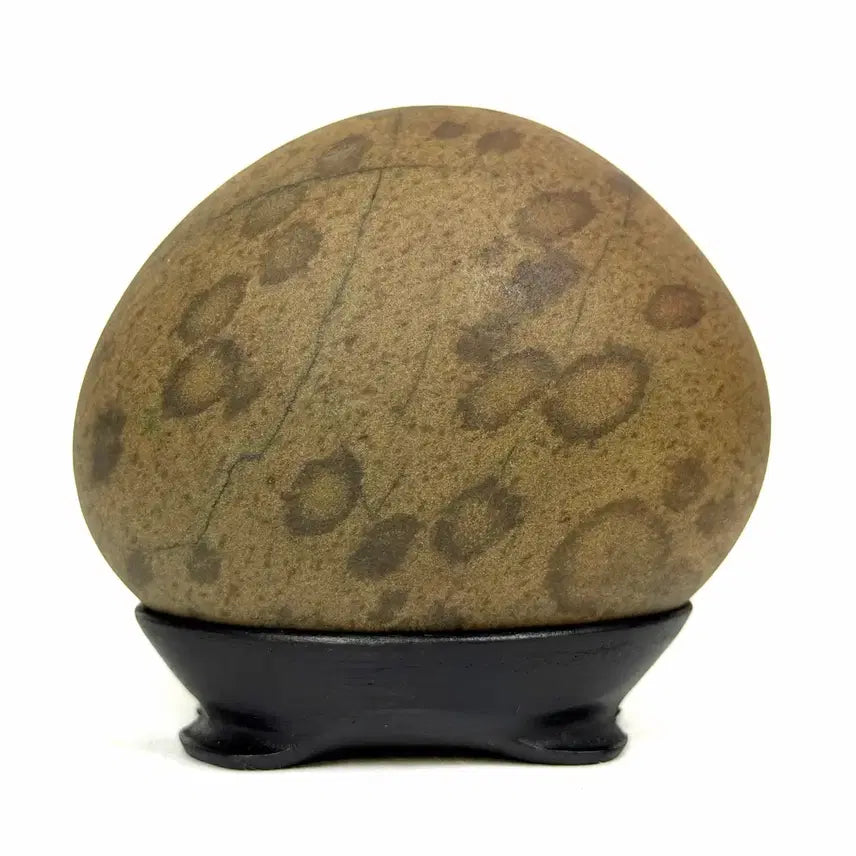 [BUNJANG] HuDo Pattern Stone, Water Drop Leopard Pattern SuSeok / 호도 문양석 수석