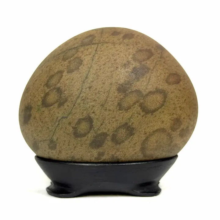 [BUNJANG] HuDo Pattern Stone, Water Drop Leopard Pattern SuSeok / 호도 문양석 수석