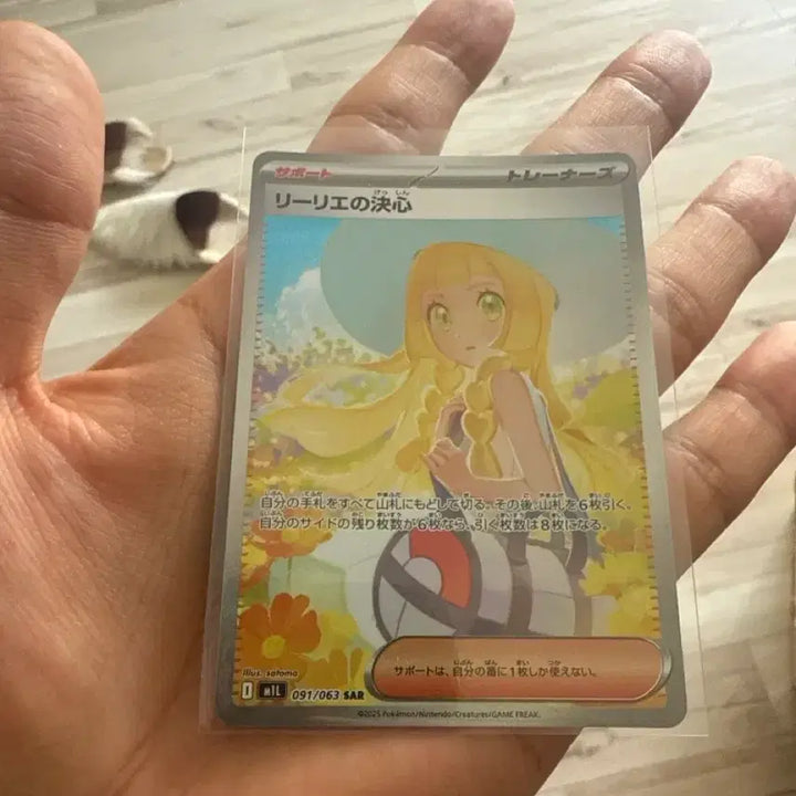 [BUNJANG] Pokemon Card Lillie&