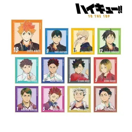 [BUNJANG] Haikyuu!! Hajime Iwaizumi Shikishi Collection / 하이큐 이와이즈미 하지메 색지 콜렉션