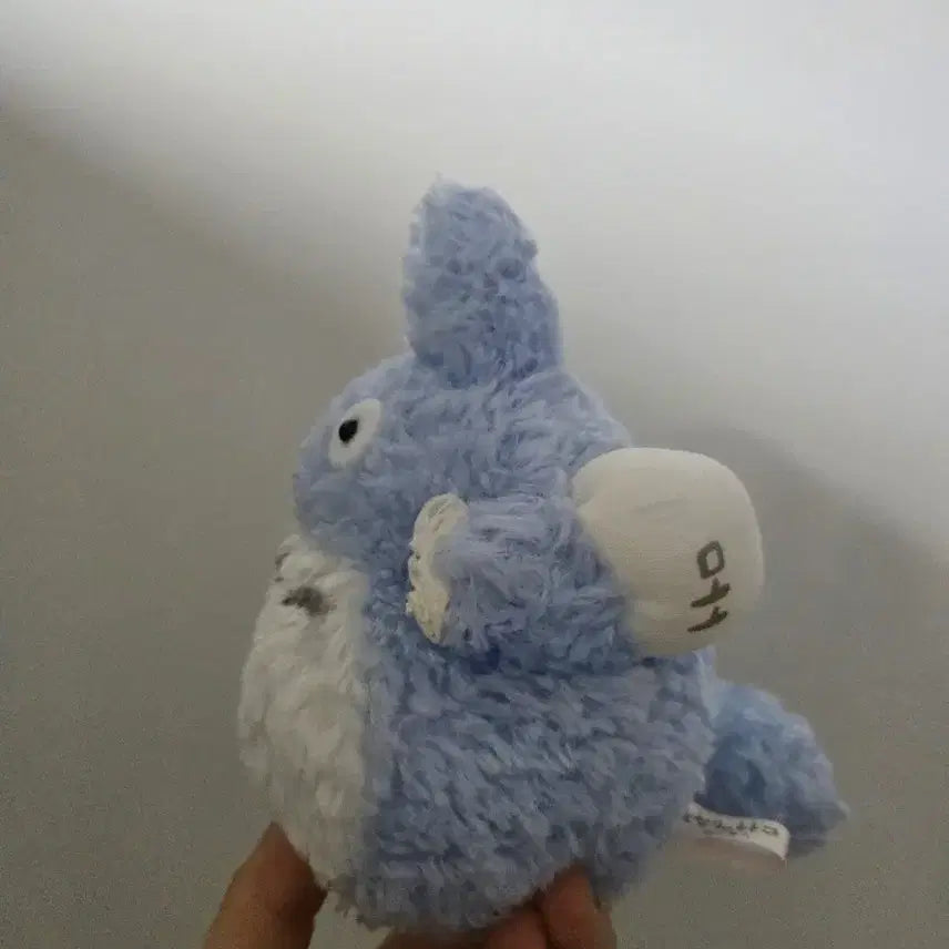 [BUNJANG] Studio Ghibli Medium Totoro Plush Toy / 지브리 봇짐 중토토로 인형