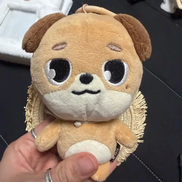 [BUNJANG] Day6 Dowoon Doll / 데이식스 도운 돈