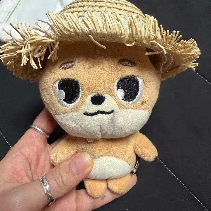 [BUNJANG] Day6 Dowoon Doll / 데이식스 도운 돈