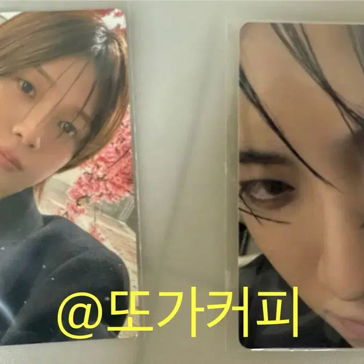 [BUNJANG] ENHYPEN Yuma &amp; K Photocard Bundle (Includes Kyoen Blind Photocard) / 가격할인! [앤팀포카+덤]케이 유키아카리+유마 고인블라인드 개인반