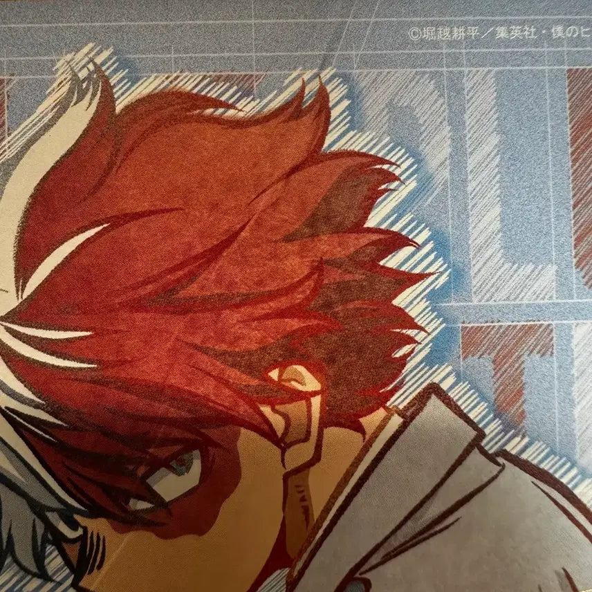 [BUNJANG] My Hero Academia Todoroki Shoto Shikishi Art Board / 나의 히어로 아카데미아 히로아카 토도로키 쇼토 색지