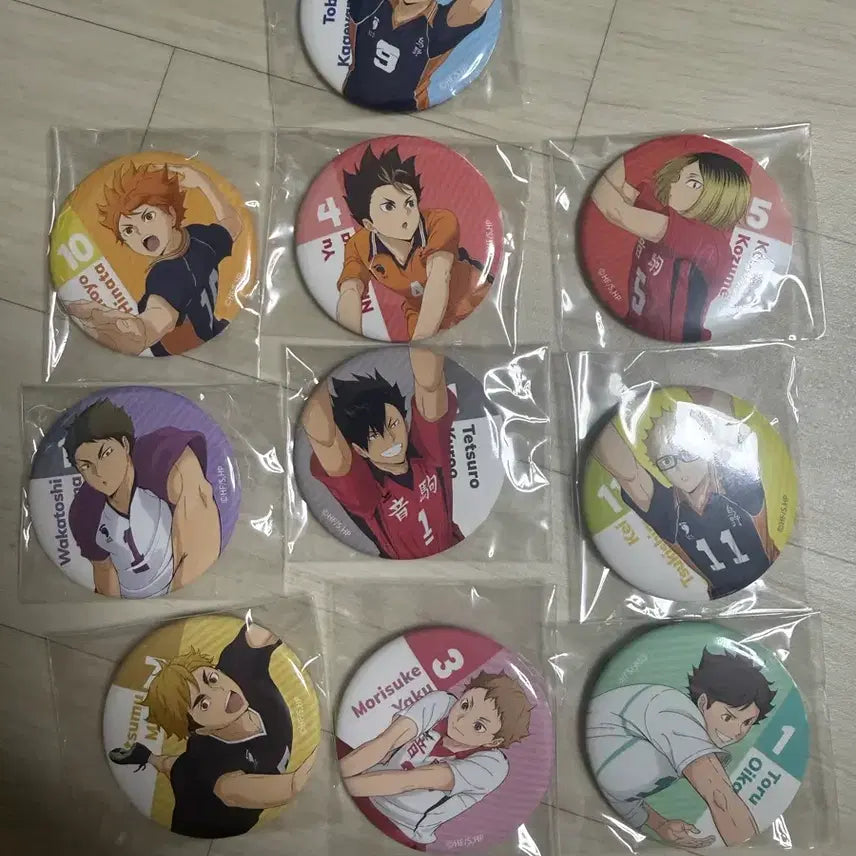 [BUNJANG] Bandai Haikyuu!! Can Badge Set (10 pcs) / 반다이 하이큐 캔뱃지 10개 세트