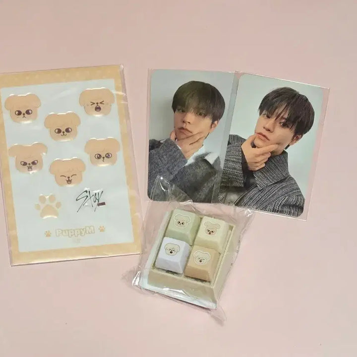 [BUNJANG] Stray Kids SKZOO PERFOMER Seungmin Bundle Set Photocard Keycap Keyring Sticker / 스키즈 일본 쿠지 스키주 퍼핌 승민 세트 포카 키캡키링 스티커 포토카드