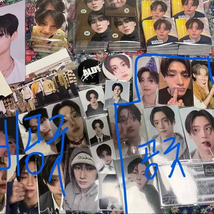 [BUNJANG] Alpha Drive 1 Lee Sang Won Photocard, Photo, Postcard, Sticker Bundle Set / 알파드라이브원 이상원 비공굿,공굿,포카,증사 일괄 양도