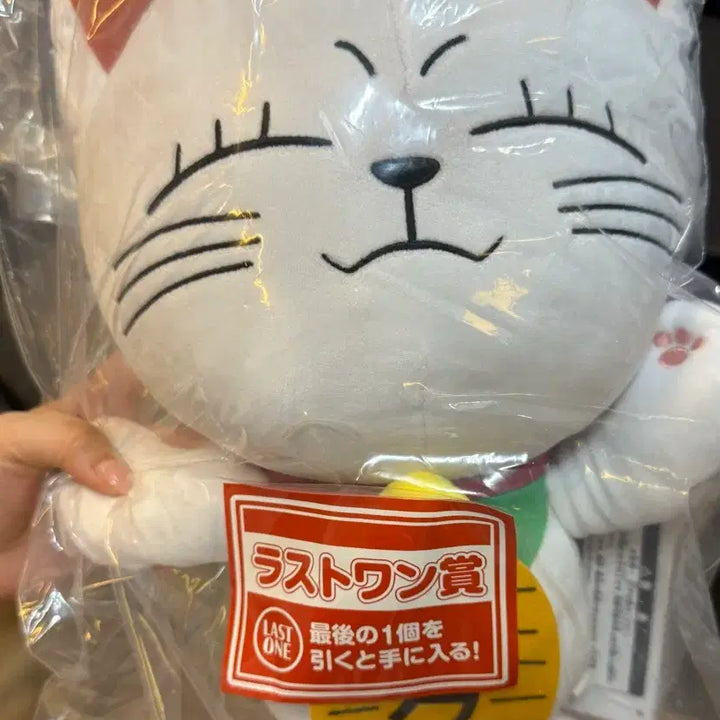 [BUNJANG] Dandadan Last One Turbo Grandma Doll (Sealed) / 단다단 라스트원 터보할멈 인형 미개봉