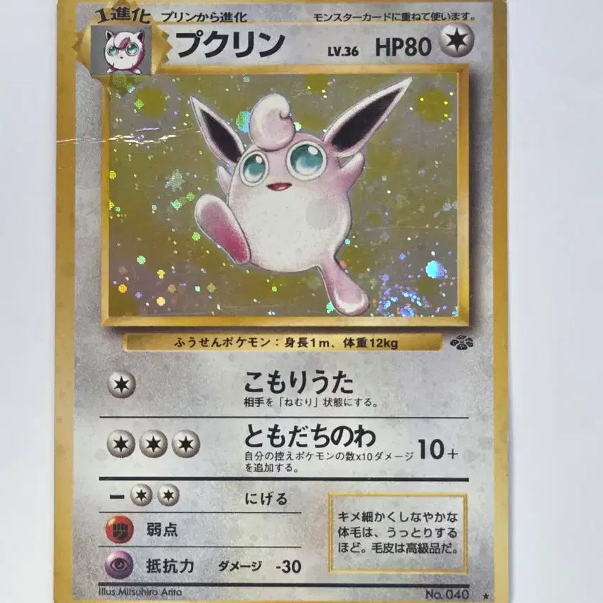 [BUNJANG] 1996 Japan Release Fuchigami Holo Card / 일본판 1996년 푸크린 홀로카드