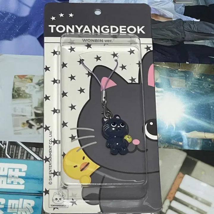 [BUNJANG] RIIZE Archive Popup Wonbin Tonnyangdeok Resin Keychain Photocard Bundle Set / 라이즈 아카이브 팝업 원빈 토냥덕 레진 키링 미개봉 양도 포카 분철 특전