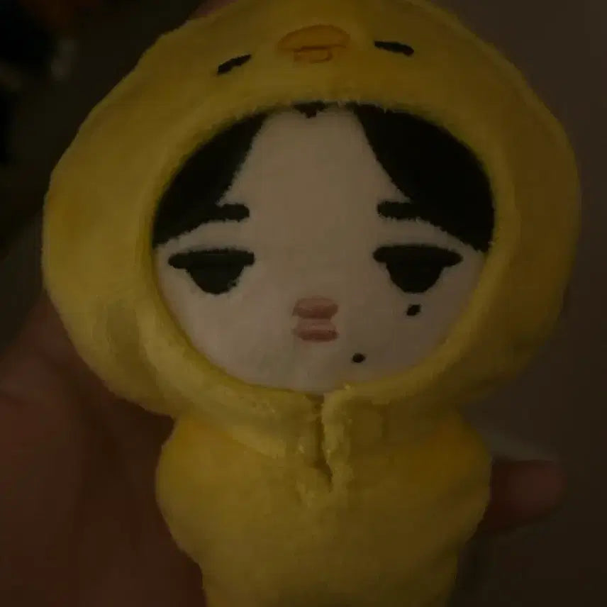 [BUNJANG] ENHYPEN Niki Chii-koon 8cm Plush Doll / 엔하이픈 니키 인형 치이쿤 8cm 판매합니다