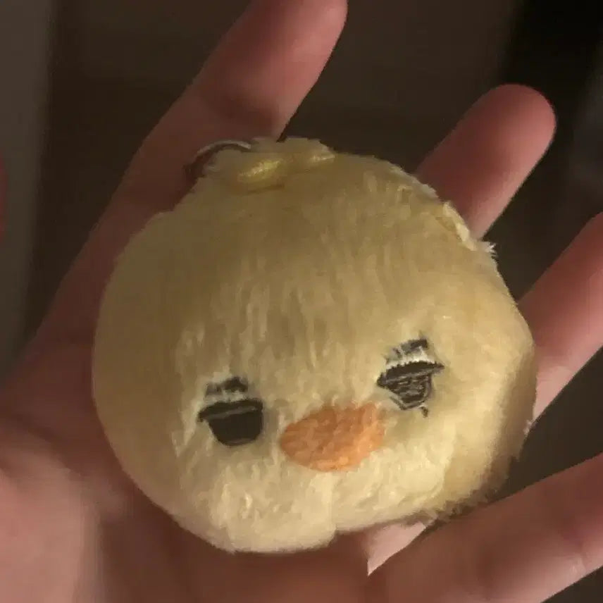[BUNJANG] ENHYPEN Ni-ki Nikoyaani 7cm Plush Doll / 엔하이픈 니키 인형 니코야니 7cm 양도