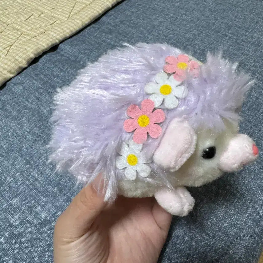 [BUNJANG] Amuse Hedgehog Plush / 어뮤즈 고슴도치 인형 판매중