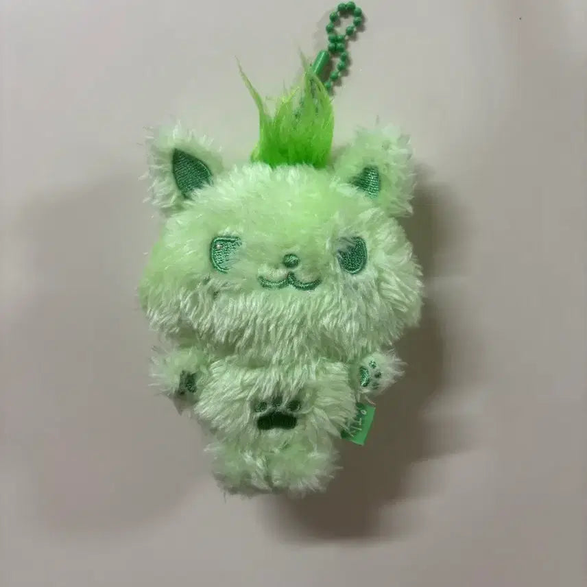[BUNJANG] NCT WISH Sion Matcha Green Wish Doll / 새상품) 엔시티 위시 말차 그린 시오닝 시온 컬러 위시돌